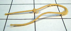 Adult Cowgirl Bolo Necktie - Oval Clasp