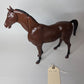 Marx Buckskin Horse - Bay (Brown) - JSC 29